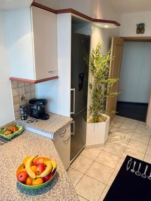 Grand Appartement 2 Chambres 5 Pers Max, Vue Panoramique Avec Parking Mulhouse Ngoại thất bức ảnh