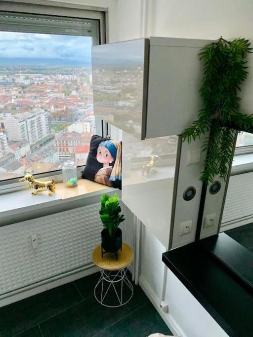 Grand Appartement 2 Chambres 5 Pers Max, Vue Panoramique Avec Parking Mulhouse Ngoại thất bức ảnh
