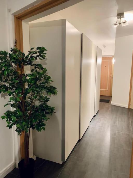 Grand Appartement 2 Chambres 5 Pers Max, Vue Panoramique Avec Parking Mulhouse Ngoại thất bức ảnh