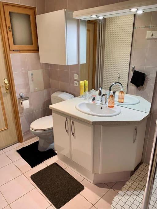 Grand Appartement 2 Chambres 5 Pers Max, Vue Panoramique Avec Parking Mulhouse Ngoại thất bức ảnh