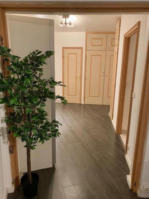 Grand Appartement 2 Chambres 5 Pers Max, Vue Panoramique Avec Parking Mulhouse Ngoại thất bức ảnh