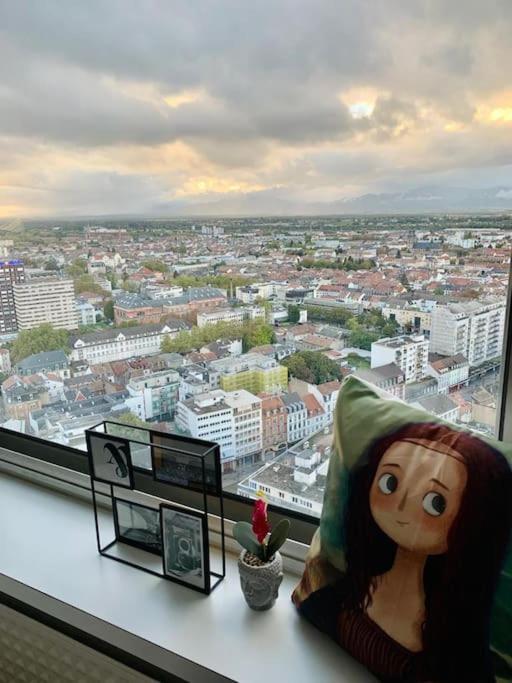 Grand Appartement 2 Chambres 5 Pers Max, Vue Panoramique Avec Parking Mulhouse Ngoại thất bức ảnh