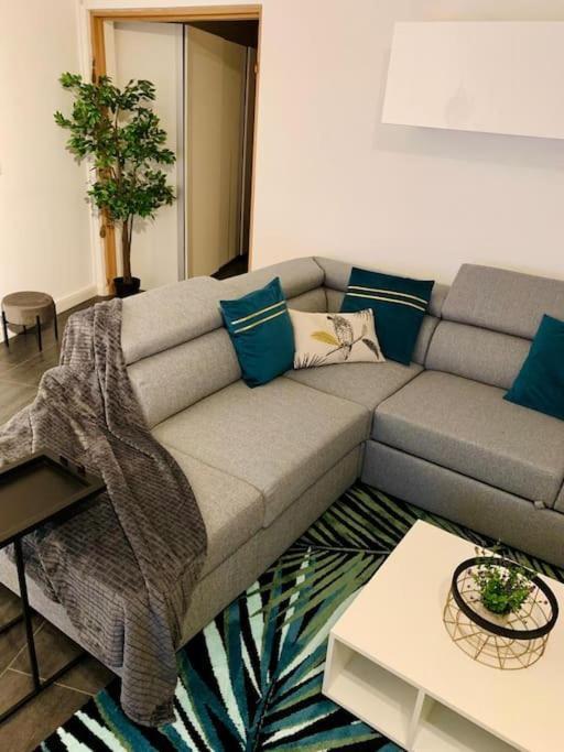 Grand Appartement 2 Chambres 5 Pers Max, Vue Panoramique Avec Parking Mulhouse Ngoại thất bức ảnh